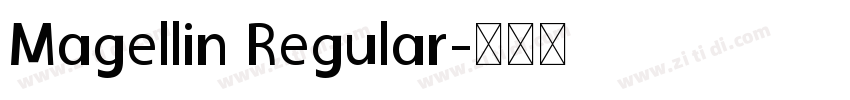 Magellin Regular字体转换